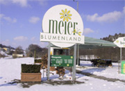 Klicken für Vergrösserung